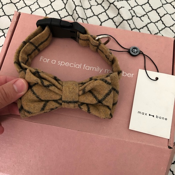 Max bone bow collar.  Size Medium - Picture 4 of 5